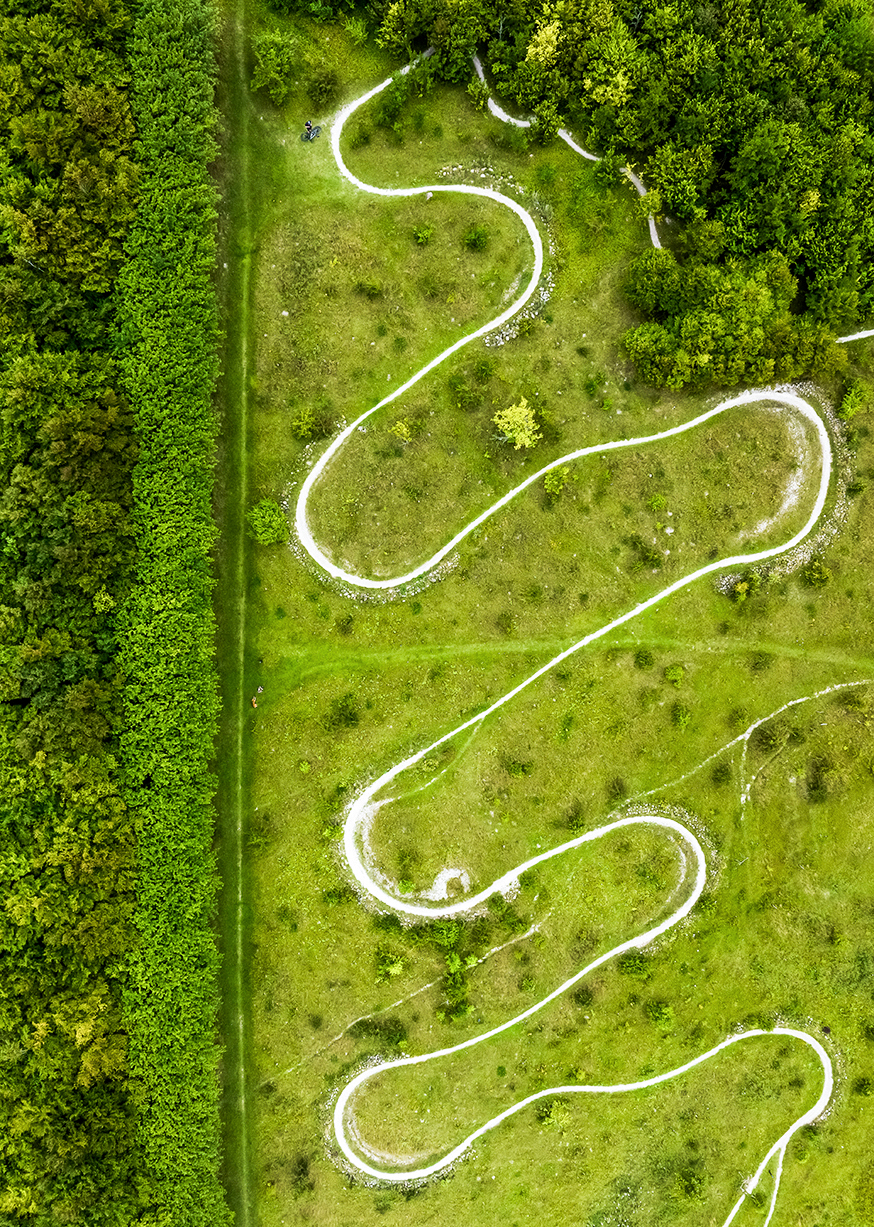 Kongsh�j Skov �lborg