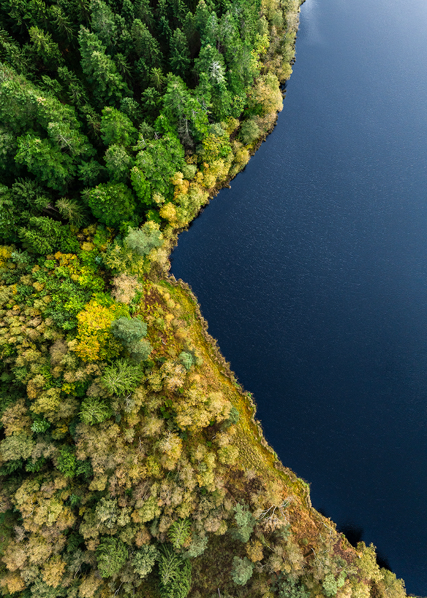 Moss�