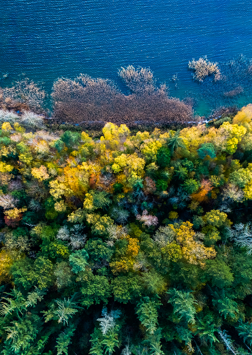 Skanderborg S